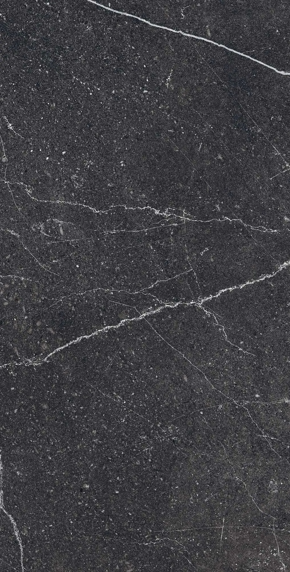 Керамогранит RG6003-A Equistone Charcoal Rotto Glossy Ink 60x120
