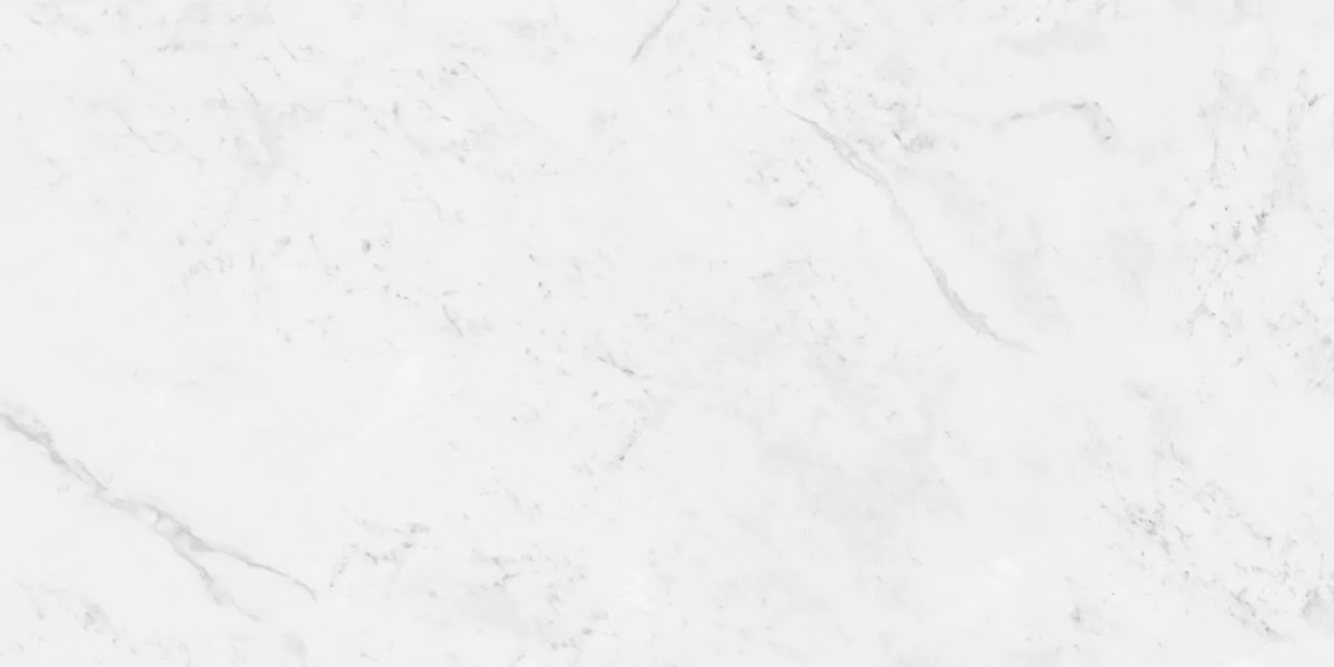 Керамогранит N12033 Antique Bianco Polished 60x120