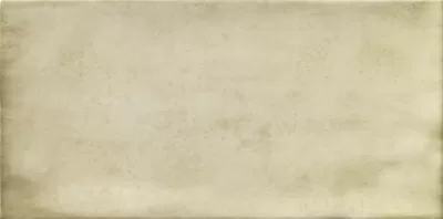 Плитка PT02254 Treviso Blanco 10х20
