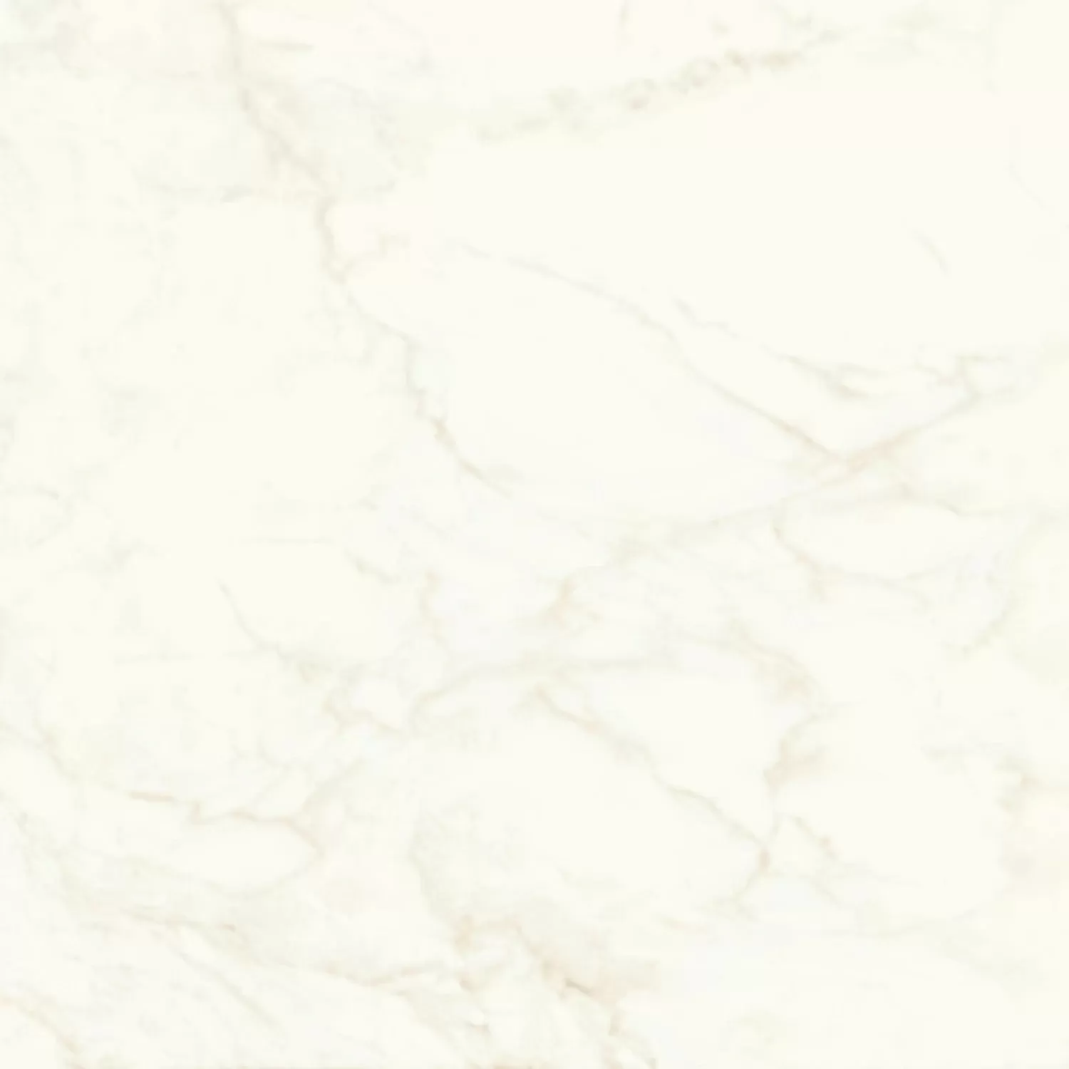 Керамогранит A4Q4 Marvel Calacatta Delicato Matt 120x120
