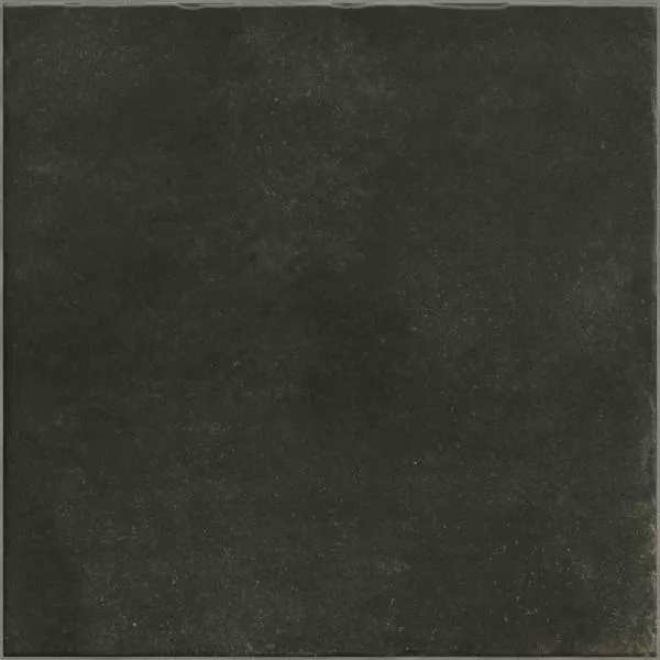 Керамогранит PT03421 Nostalgy Black 20x20