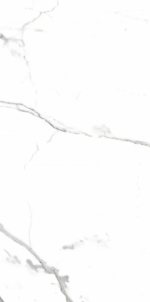 Керамогранит PR207 Salvatore Polished 600x1200