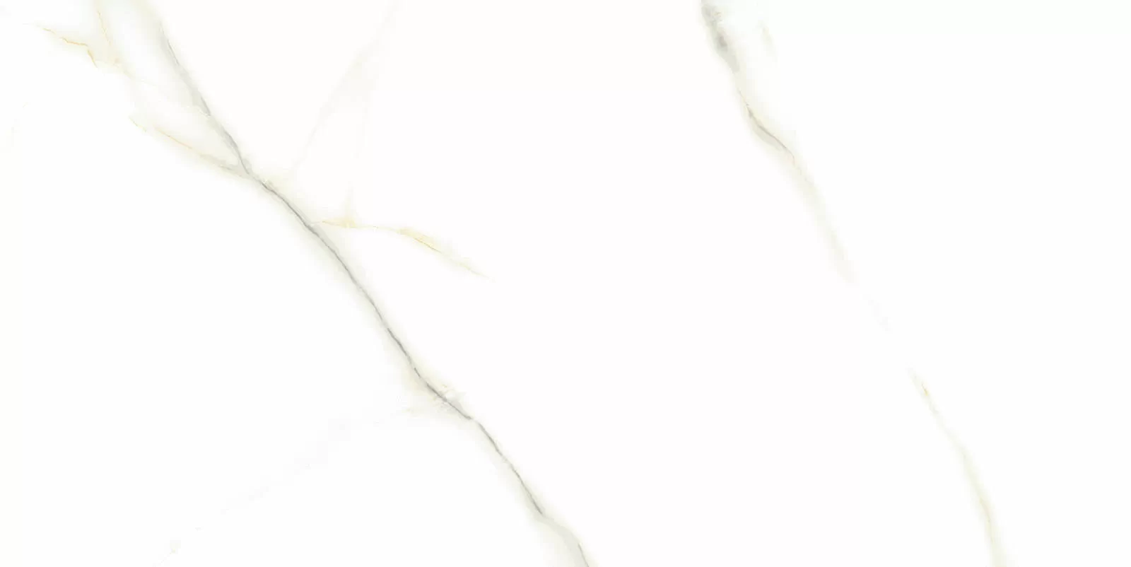 Керамогранит Venato Bianco PGVT 60x120