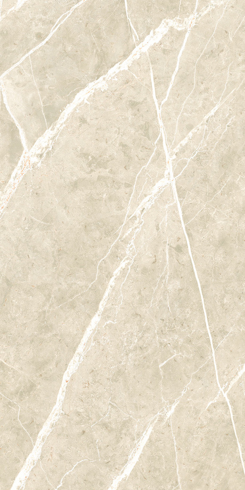 Керамогранит NTT99619PC Granite Wisdom Stone Punch Carving 60x120