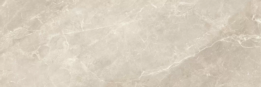 Плитка Balmoral Taupe Rectificado 40х120