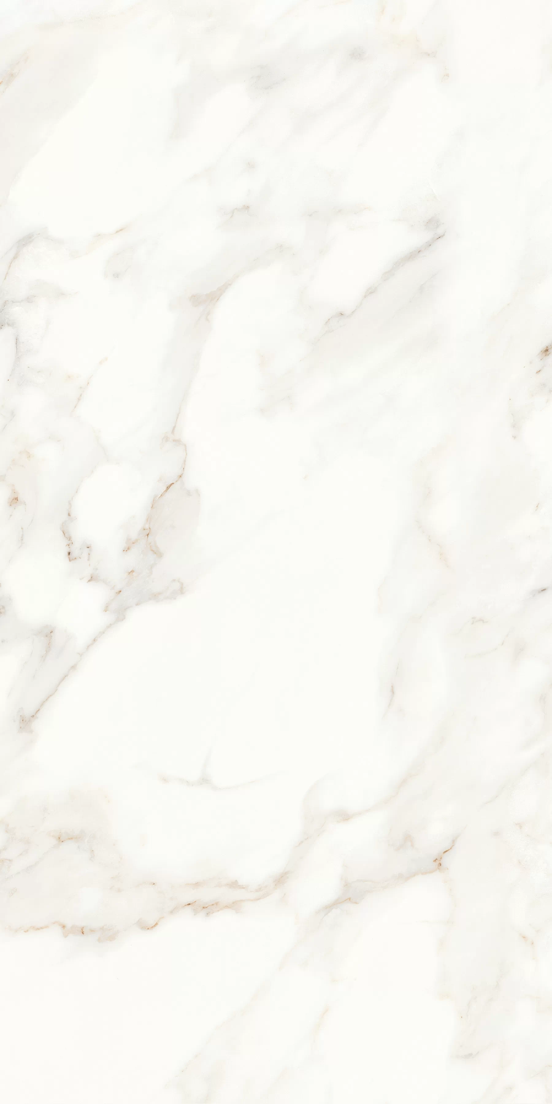 Керамогранит MPL-058623 Calacatta Polished 60x120