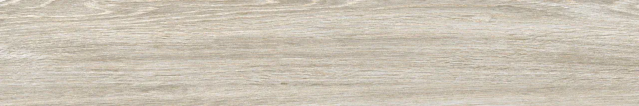 Керамогранит AB 1169W Forest Essenze Grey 1200x200