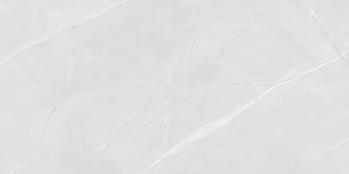 Керамогранит PRO 1166G Armani Bianco 1200x600