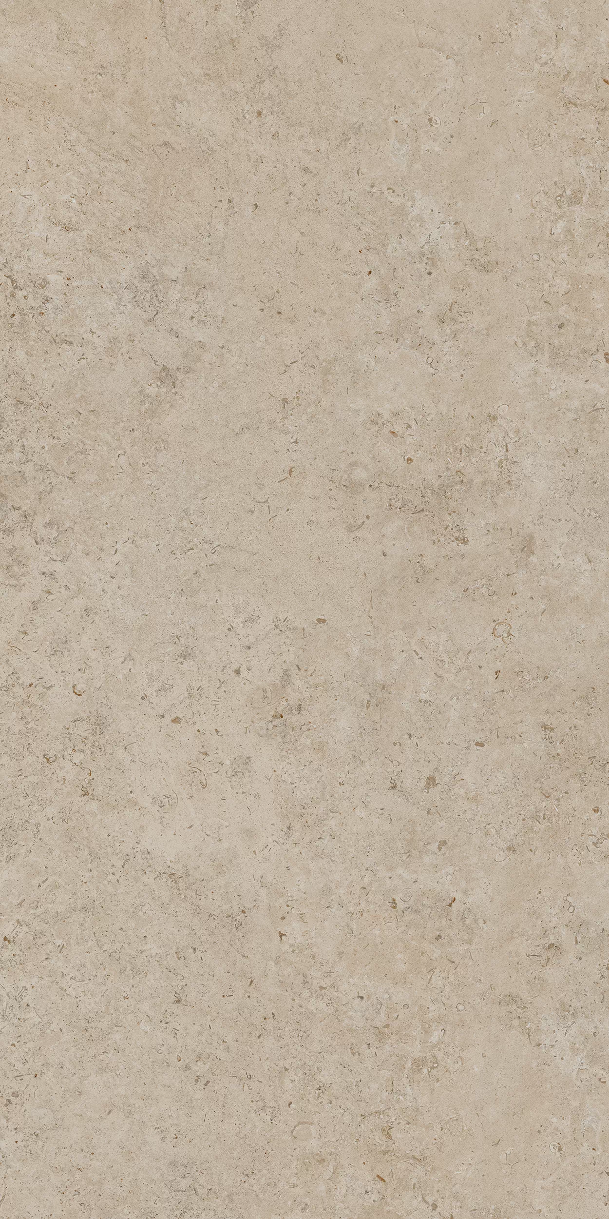 Керамогранит DD590500R Про Лаймстоун АТ бежевый темный натуральный обрезной R10 119,5х238,5