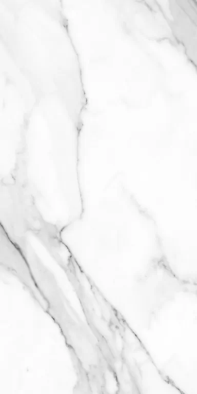 Керамогранит 010400001222 Marmara white белый PG 01 60х120