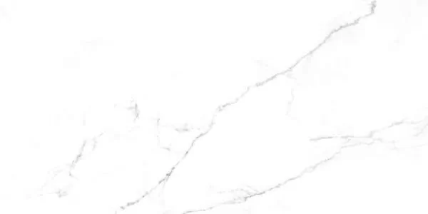 Керамогранит SG50002420R Discovery Blanco белый 60х119,5