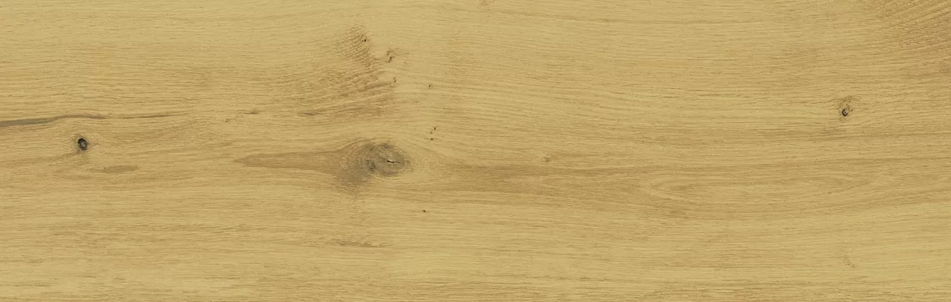 Керамогранит C-SW4M012D Sandwood бежевый 18.5x59.8