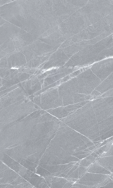 Плитка Elegance Grey 02 30x50