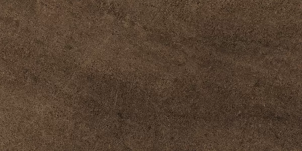 Керамогранит 610015000400 WISE Moka Lap 60x120