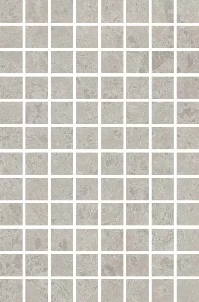 Мозаика MM8350 Ферони мозаичный серый матовый 20x30