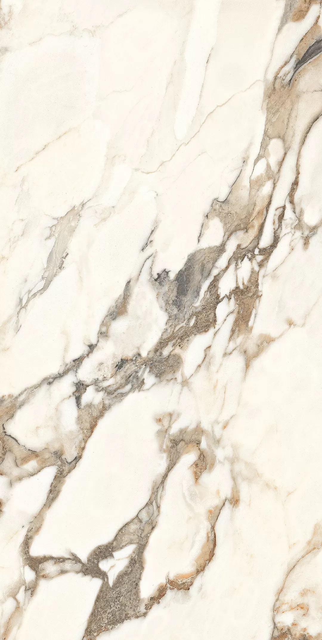 Керамогранит Calacatta Bronze белый полированный 60х120