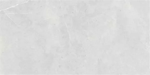 Керамогранит Northon Light Grey Pul Rect. 59x119