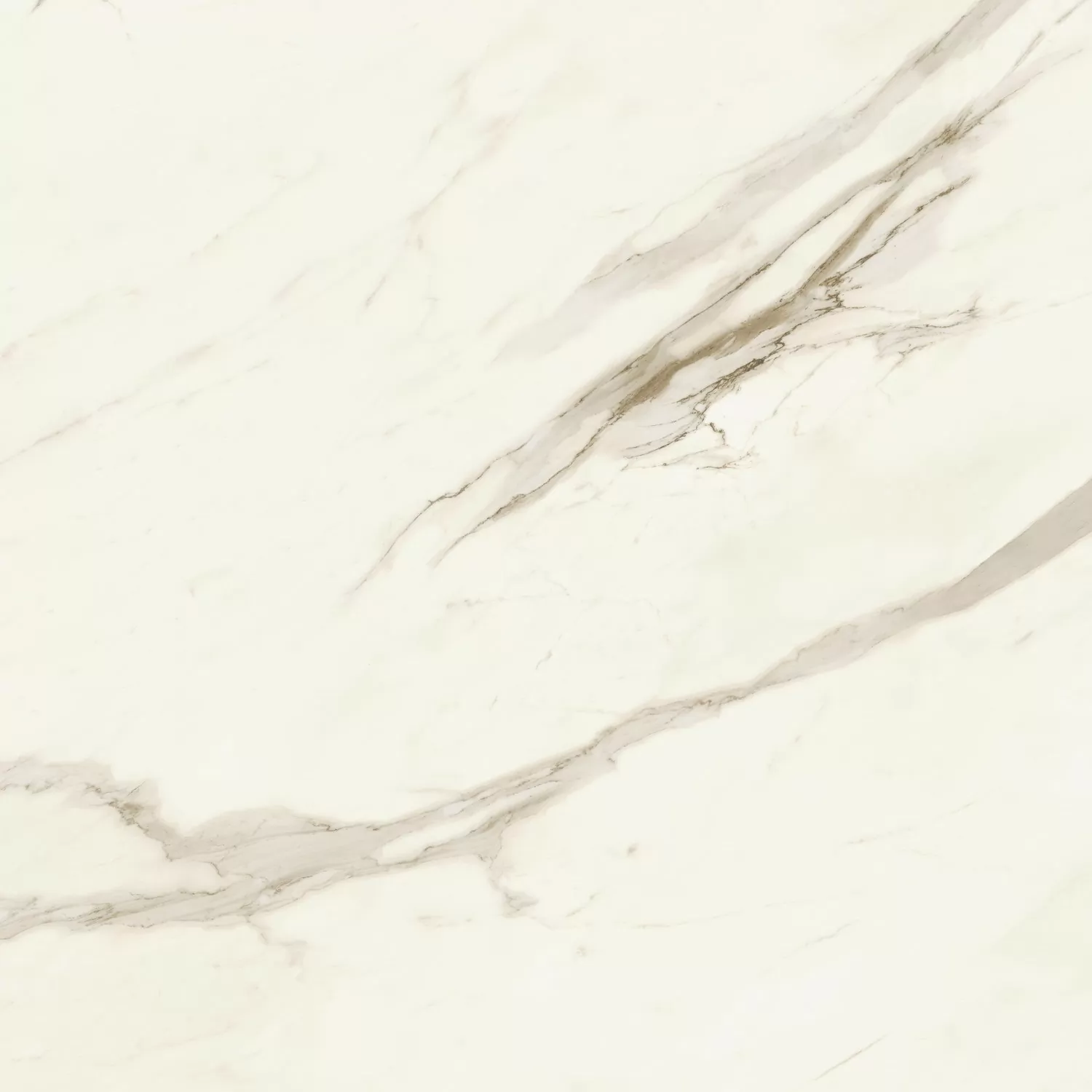 Керамогранит AJID Marvel Meraviglia Calacatta Bernini Lapp. 120x120
