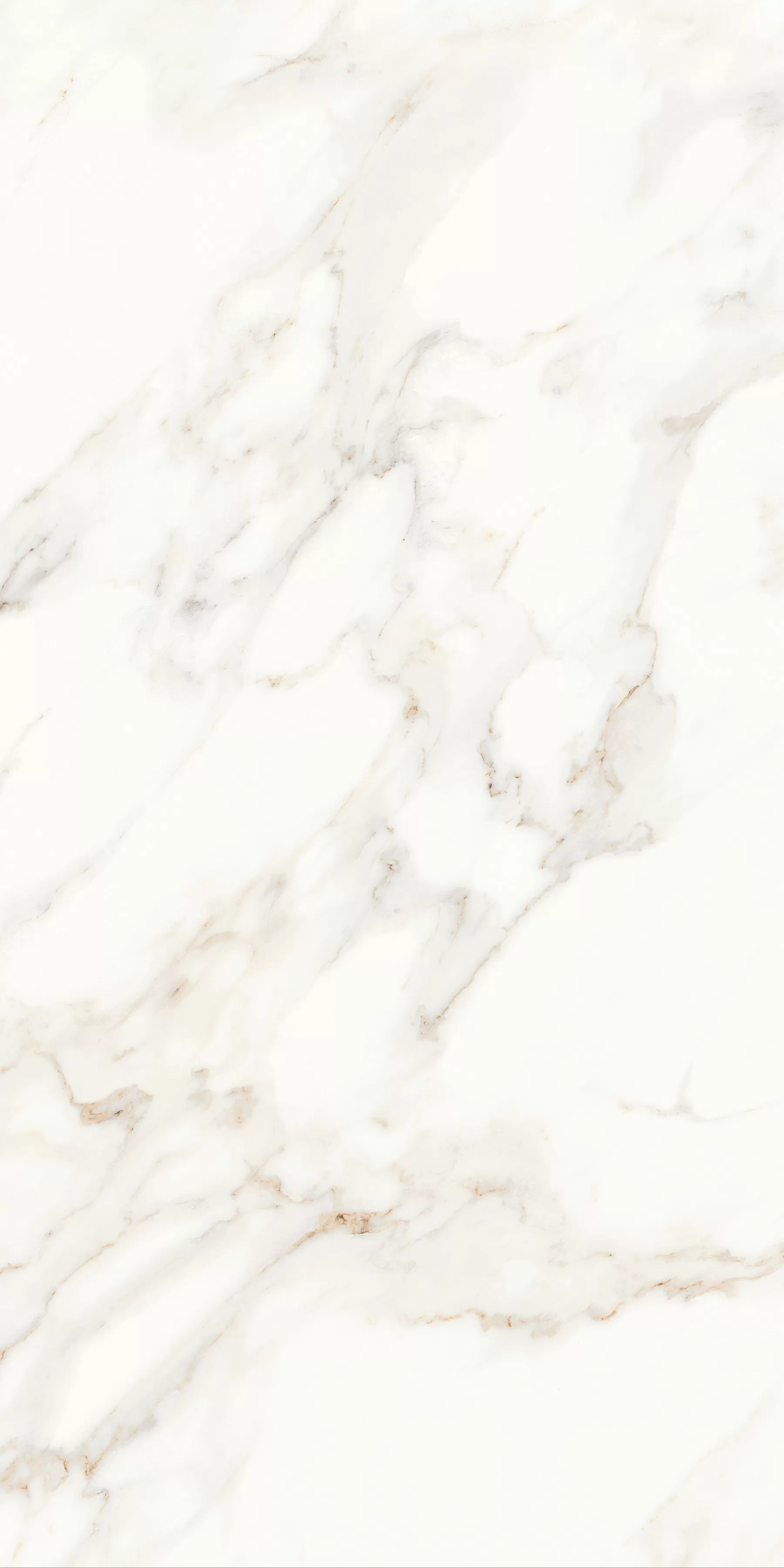 Керамогранит MPL-058623 Calacatta Polished 60x120