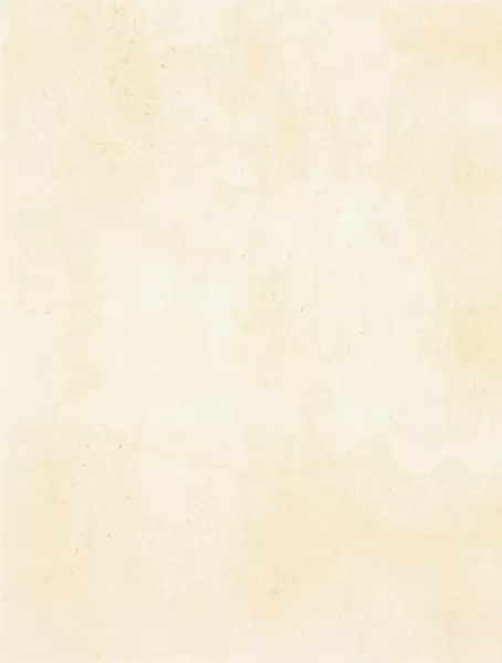 Плитка WATKB230 PATINA light beige 25x33