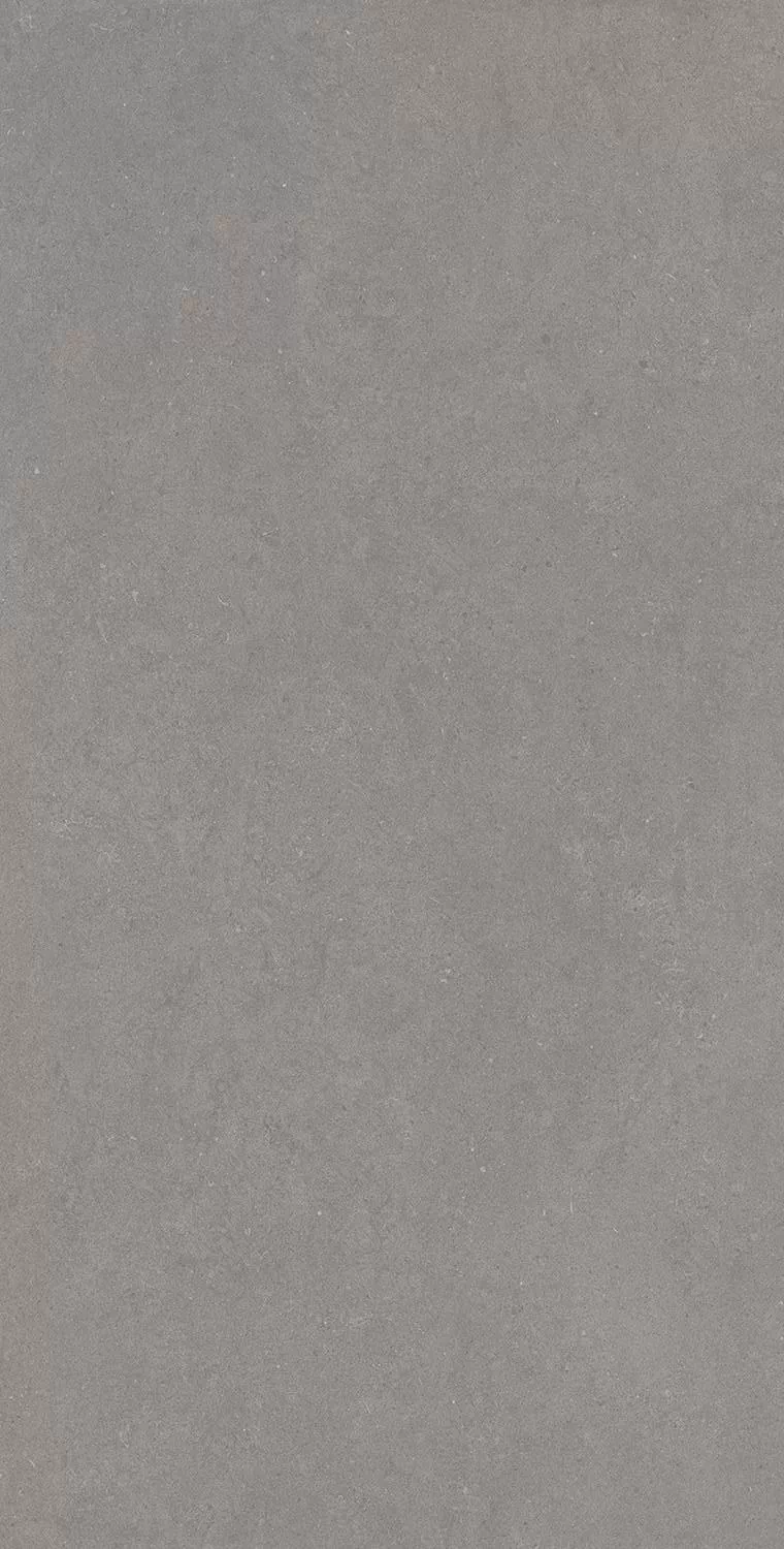 Керамогранит Active Grey 120x240