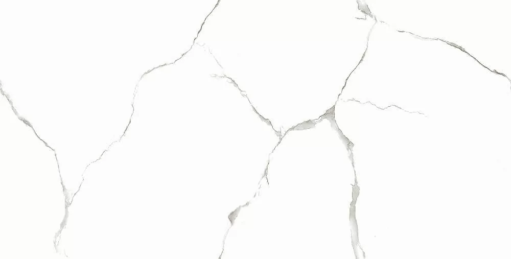 Керамогранит Silver White PGVT 60x120