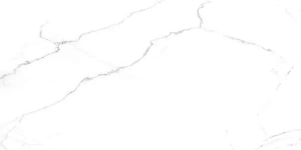 Керамогранит SG50002420R Discovery Blanco белый 60х119,5