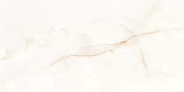 Керамогранит 004.869.0108.00283 ONIX WHITE leviglass Rect. 60x120