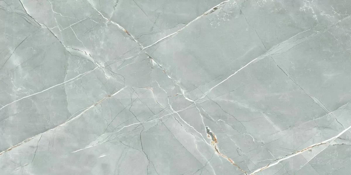 Керамогранит R_PR2019 William Grey Polished 60x120