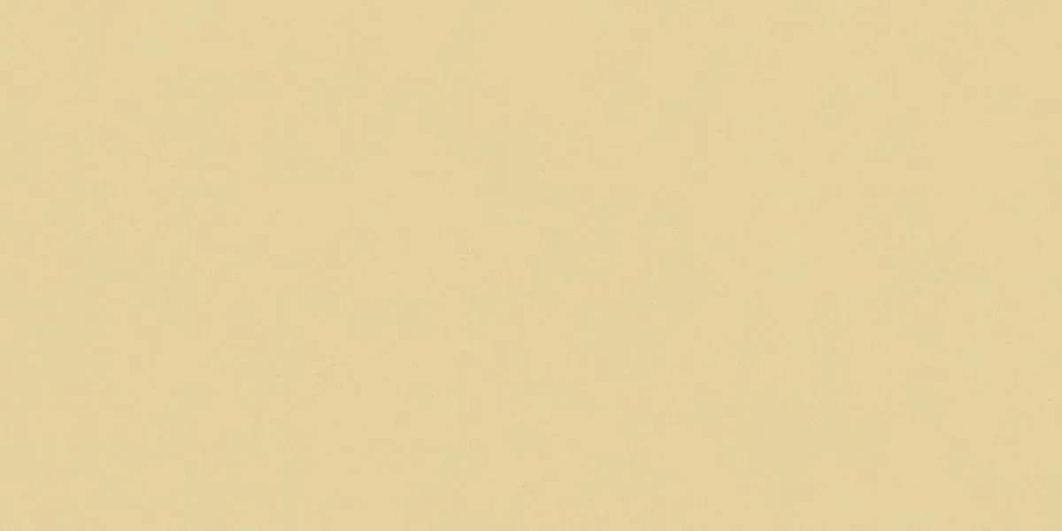 Керамогранит N12037 Blossom Sun Matt 60x120