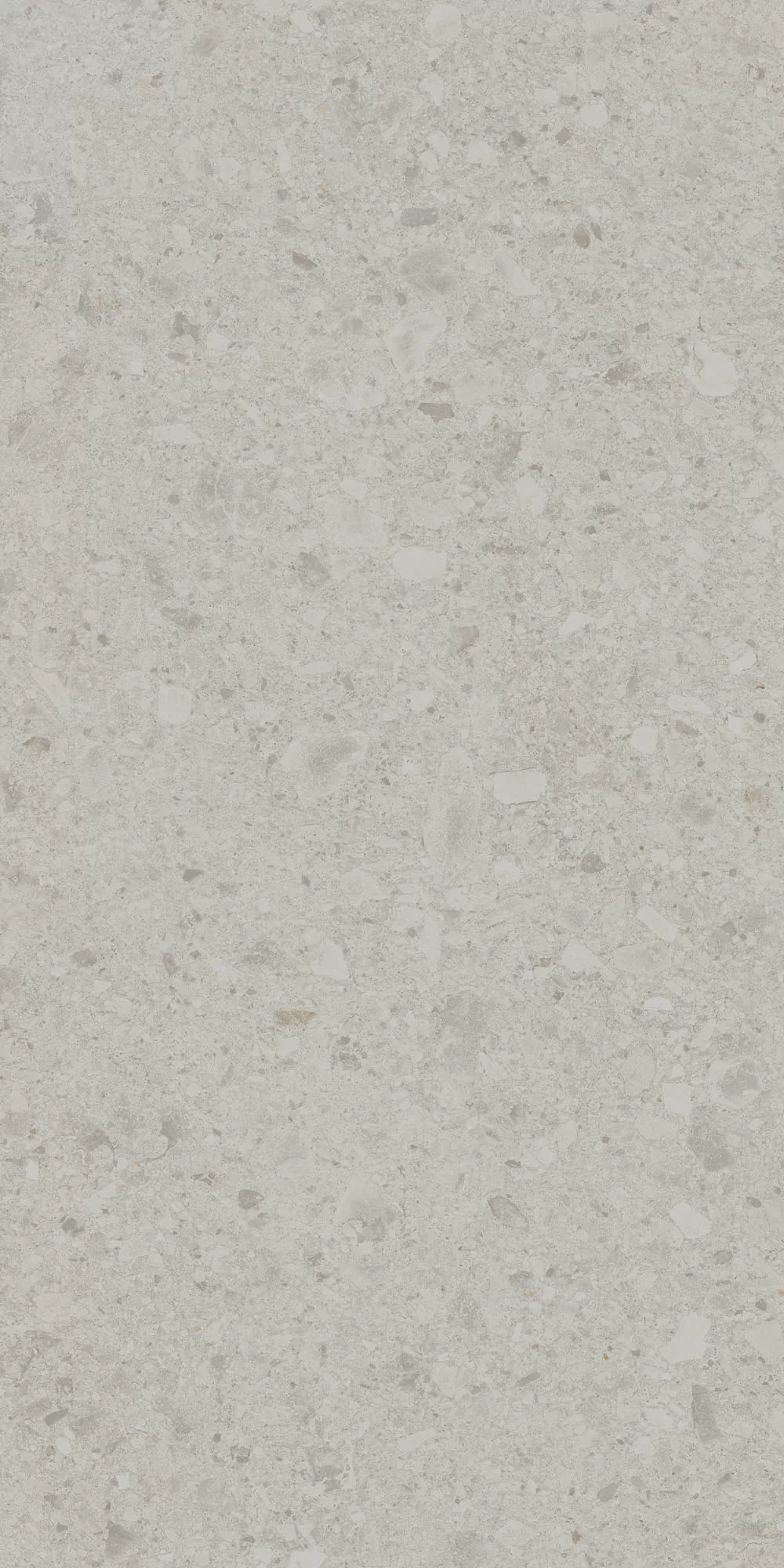 Керамогранит DD591200R Чеппо ди Гре серый светлый матовый обрезной 119,5x238,5x1,1