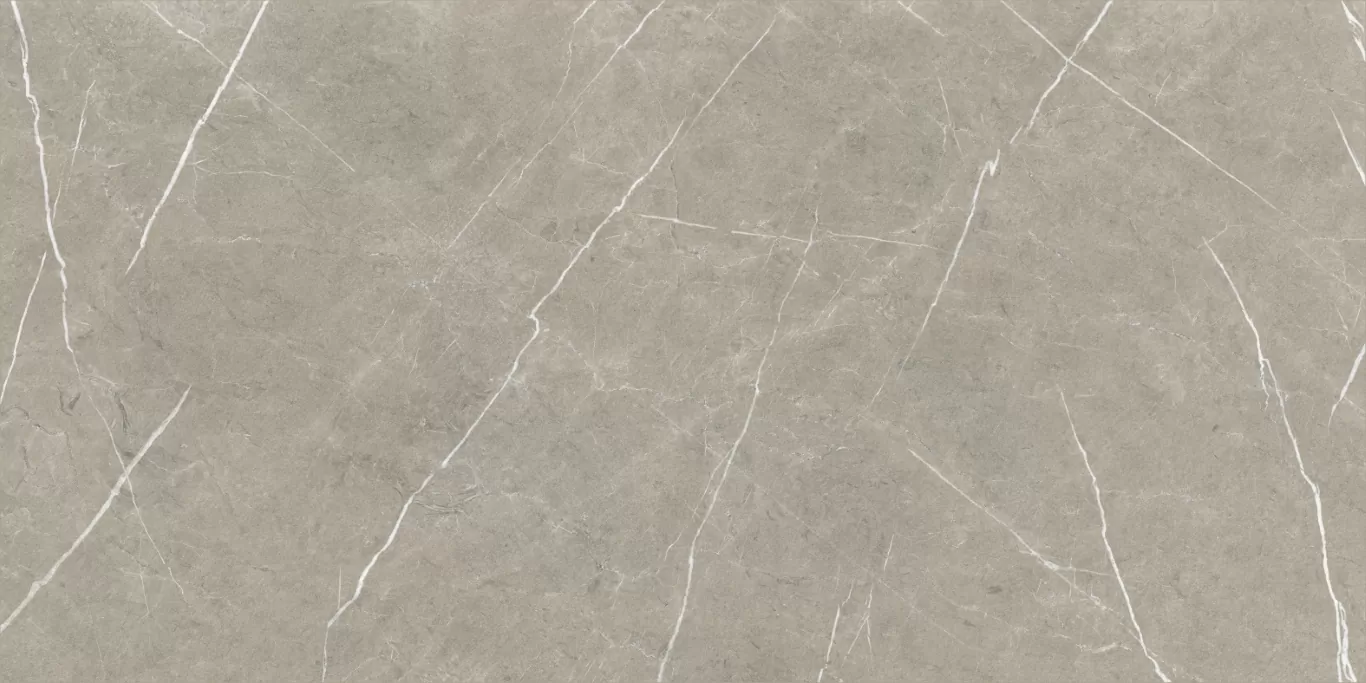 Керамогранит Eternal Taupe Natural 80x160