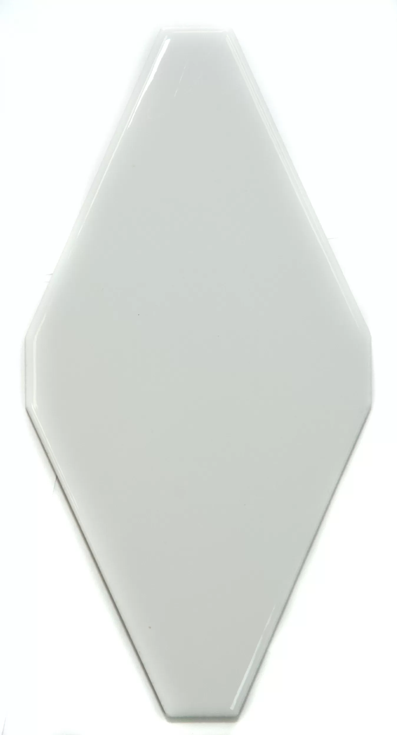 Мозаика FTR-1025A керамика (100*200)100 плоская