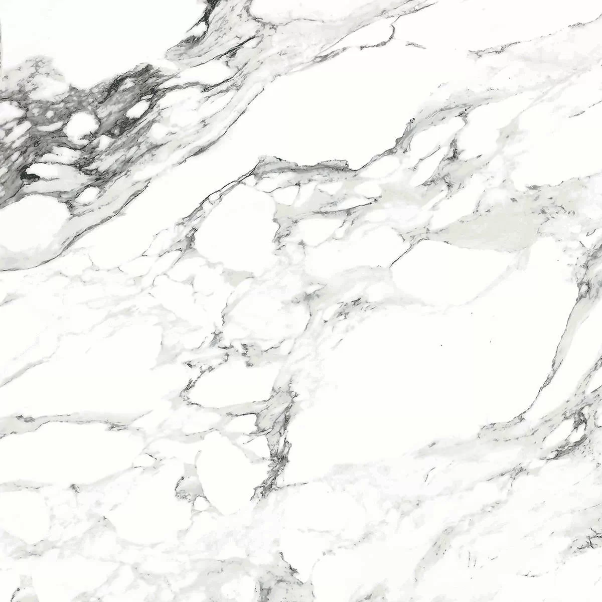 Керамогранит Bianco carrara PGVT 60x60