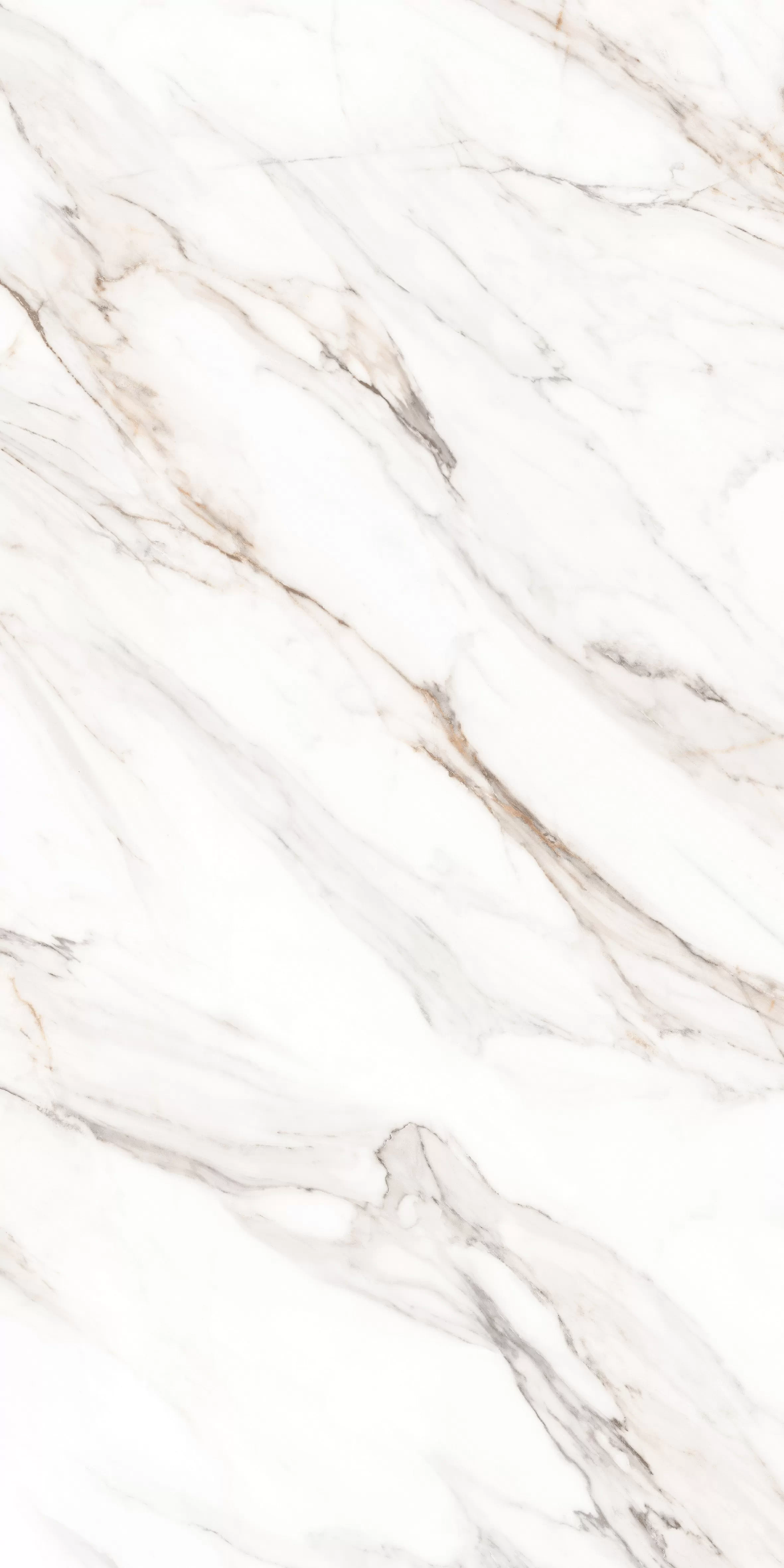 Керамогранит MPL-058640 Calacatta Gold Polished 80x160