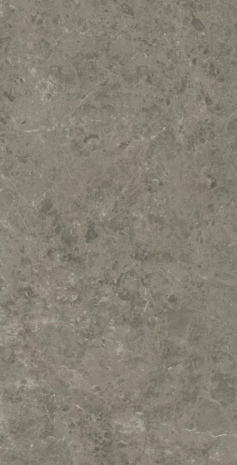 Керамогранит AJH0 Marvel Meraviglia Grigio Elegante Lapp. 75x150
