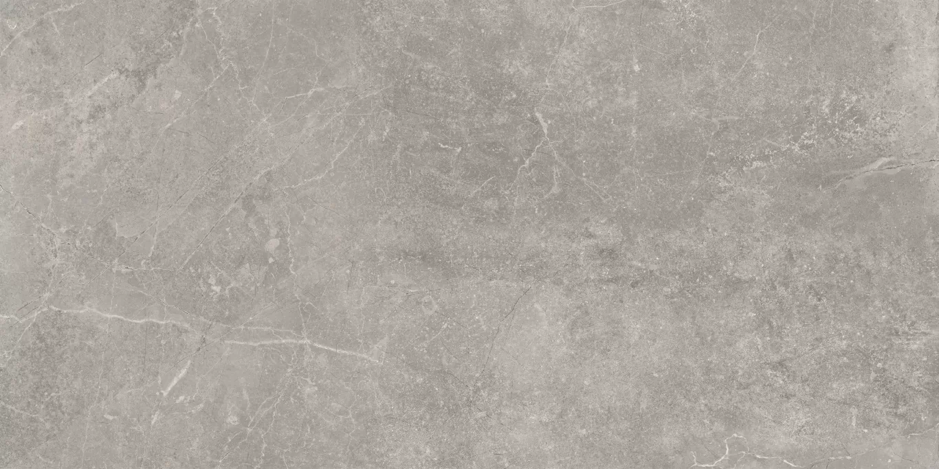 Керамогранит Concept Gray 60x120
