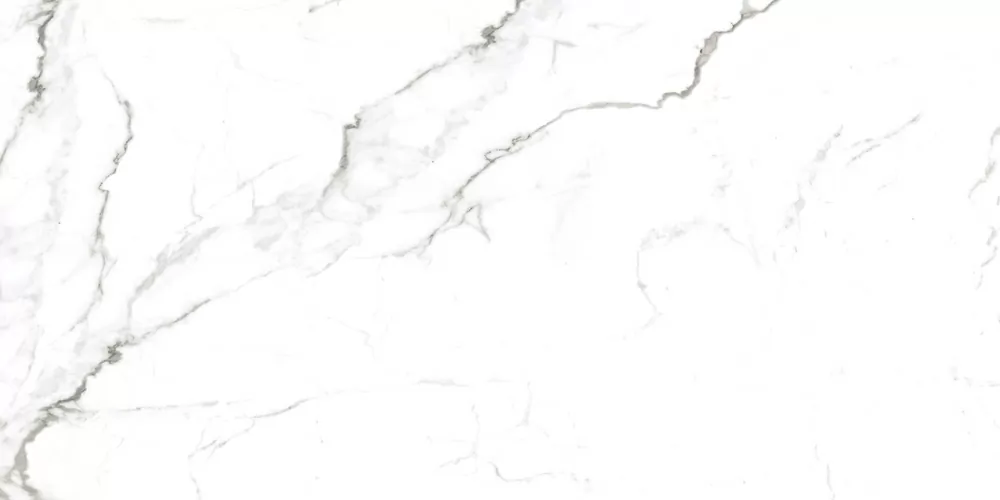 Керамогранит Pallisandro Nero / Паллисандро неро LLR 120x60