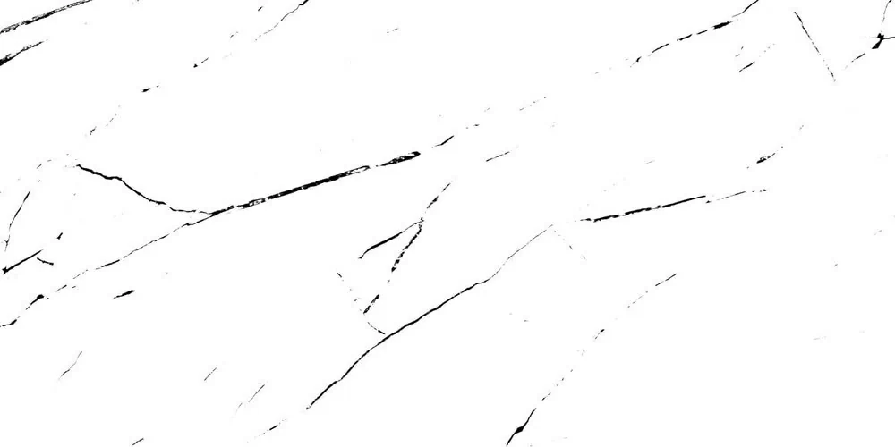 Керамогранит Delta White & Black 120x60