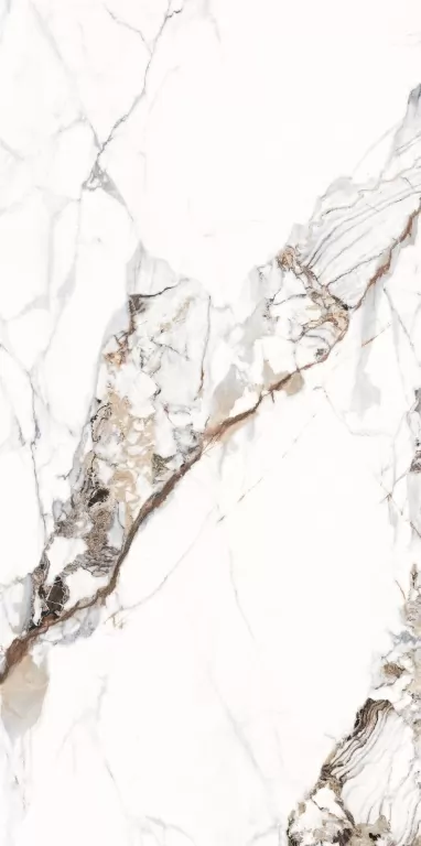Керамогранит NTT3005P Breccia Capria 120x240