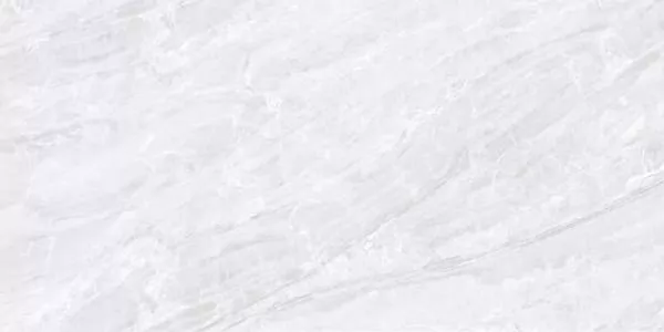 Керамогранит 12TD003 Roman Stone Marble Platinum Gray Rectificado 60х120