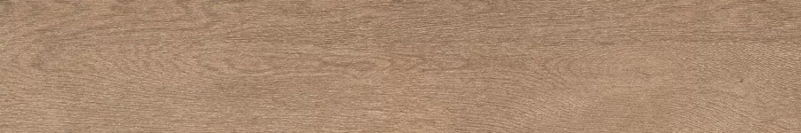 Керамогранит F4506M Forest Сhestnut Matt 20x120