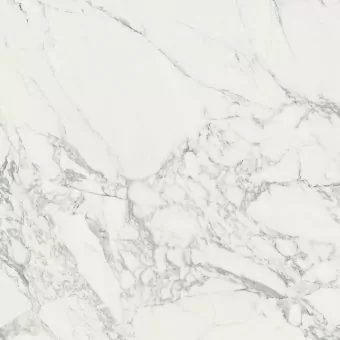 Керамогранит 100296864 Dolomiti Brillo 59.6x59.6