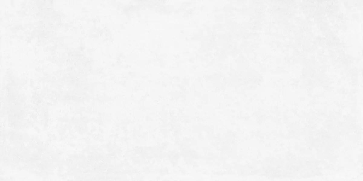Керамогранит Betonica Blanco PRO светло-серый матовый R10Soft 60х120