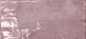 Плитка PF60011536 Poetry Colors Blush N 7.5x15