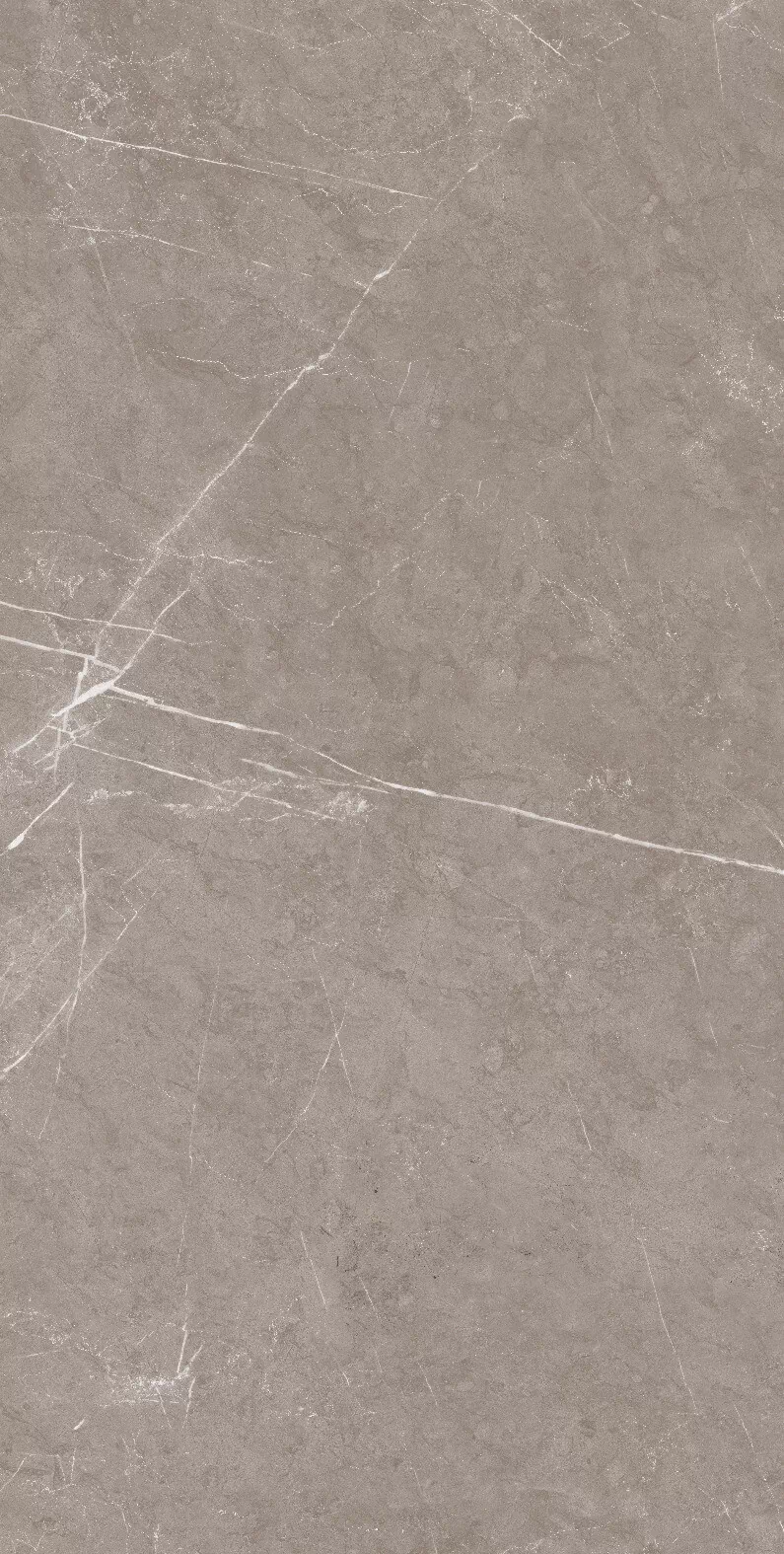 Керамогранит 1070 Monte Taupe Carv 120x60