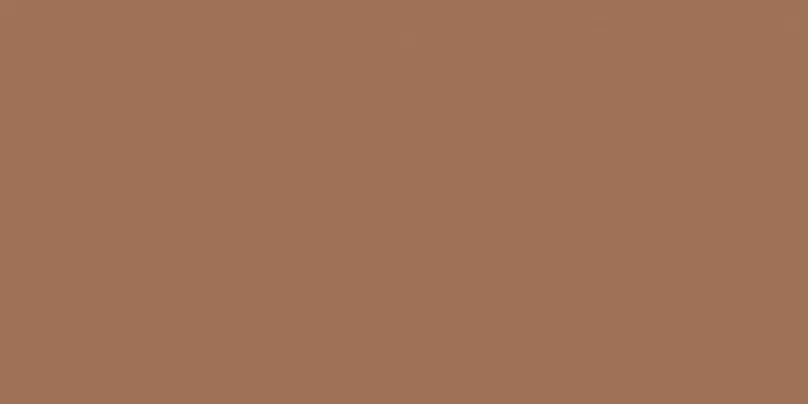 Плитка Montmartre Terre Rect. 60x120