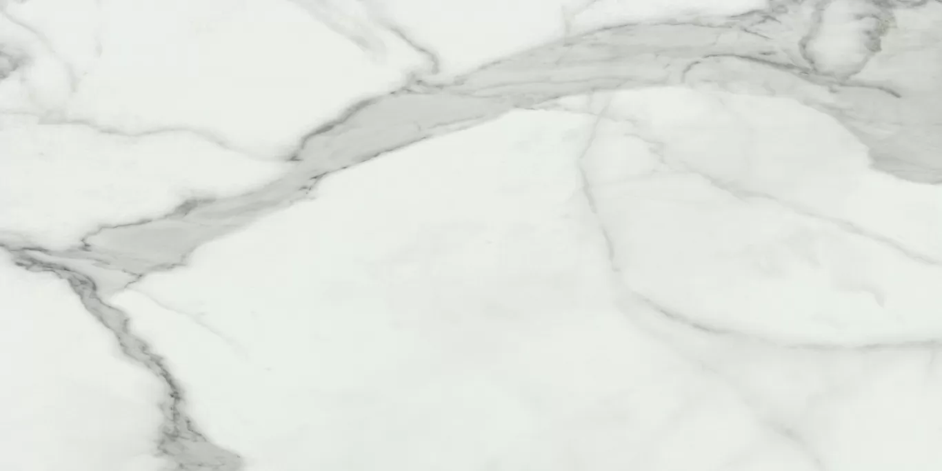 Керамогранит Invictus Natural Rectificado 60x120