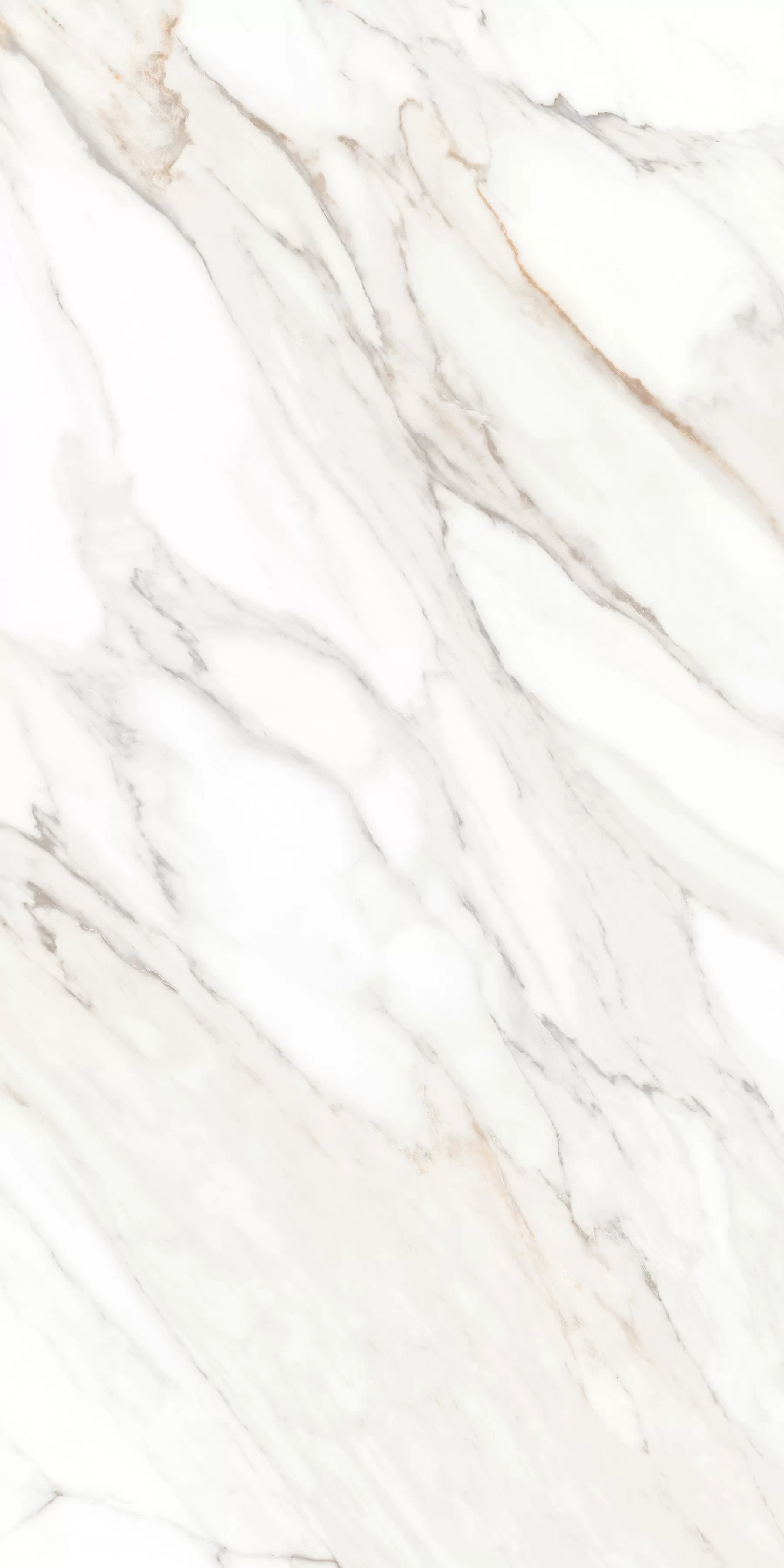 Керамогранит MPL-058631 Calacatta Gold Polished 60x120