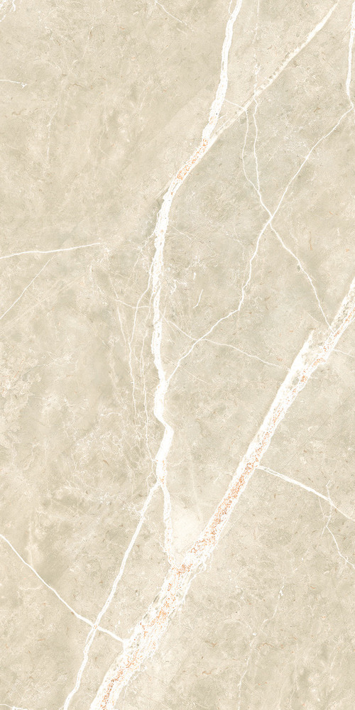 Керамогранит NTT99619PC Granite Wisdom Stone Punch Carving 60x120